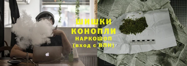 мдпв Тобольск