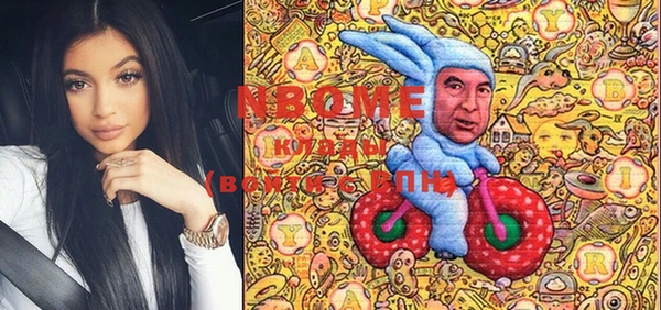 PSILOCYBIN Тайга