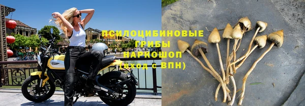 мдпв Тобольск