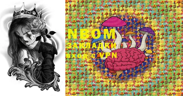 ПСИЛОЦИБИНОВЫЕ ГРИБЫ Сясьстрой