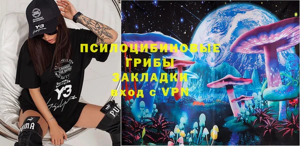 ПСИЛОЦИБИНОВЫЕ ГРИБЫ Сясьстрой
