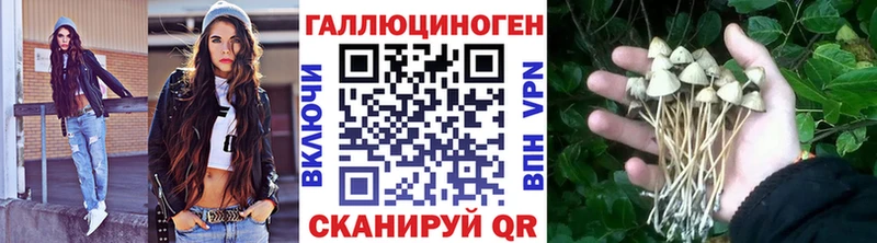 Псилоцибиновые грибы MAGIC MUSHROOMS  Купить где  Алагир 